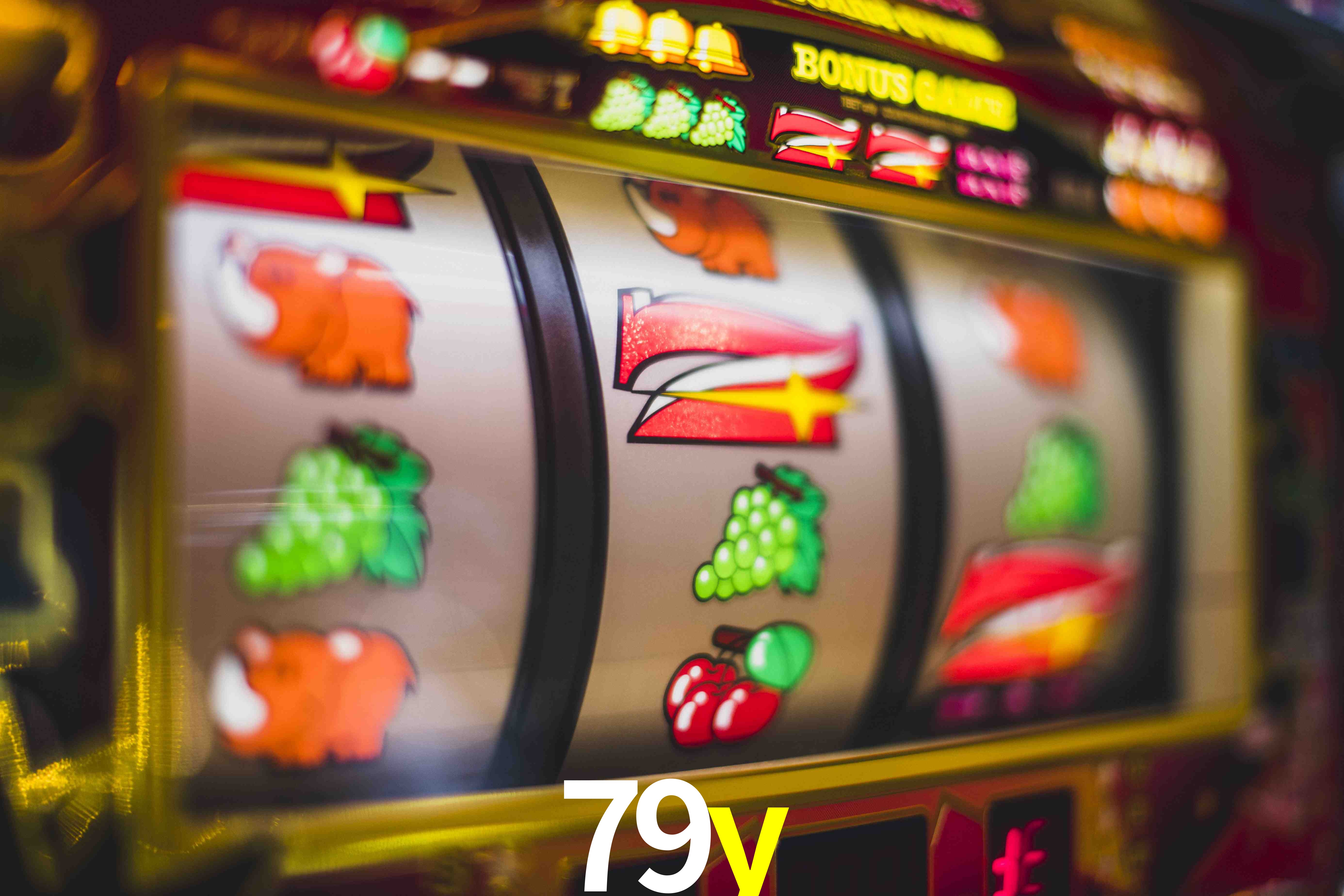 Basketball Betting 79y